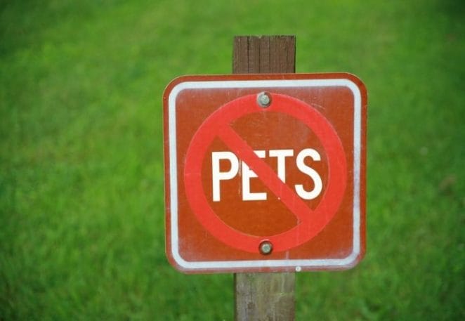 'No Pets Policy' - Vancouver Councilors Push for Change