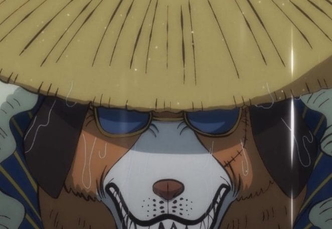 50+ One Piece Dog Names - Best Names Based on One Piece Characters 50+ One Piece Dog Names - Best Names Based on One Piece Characters