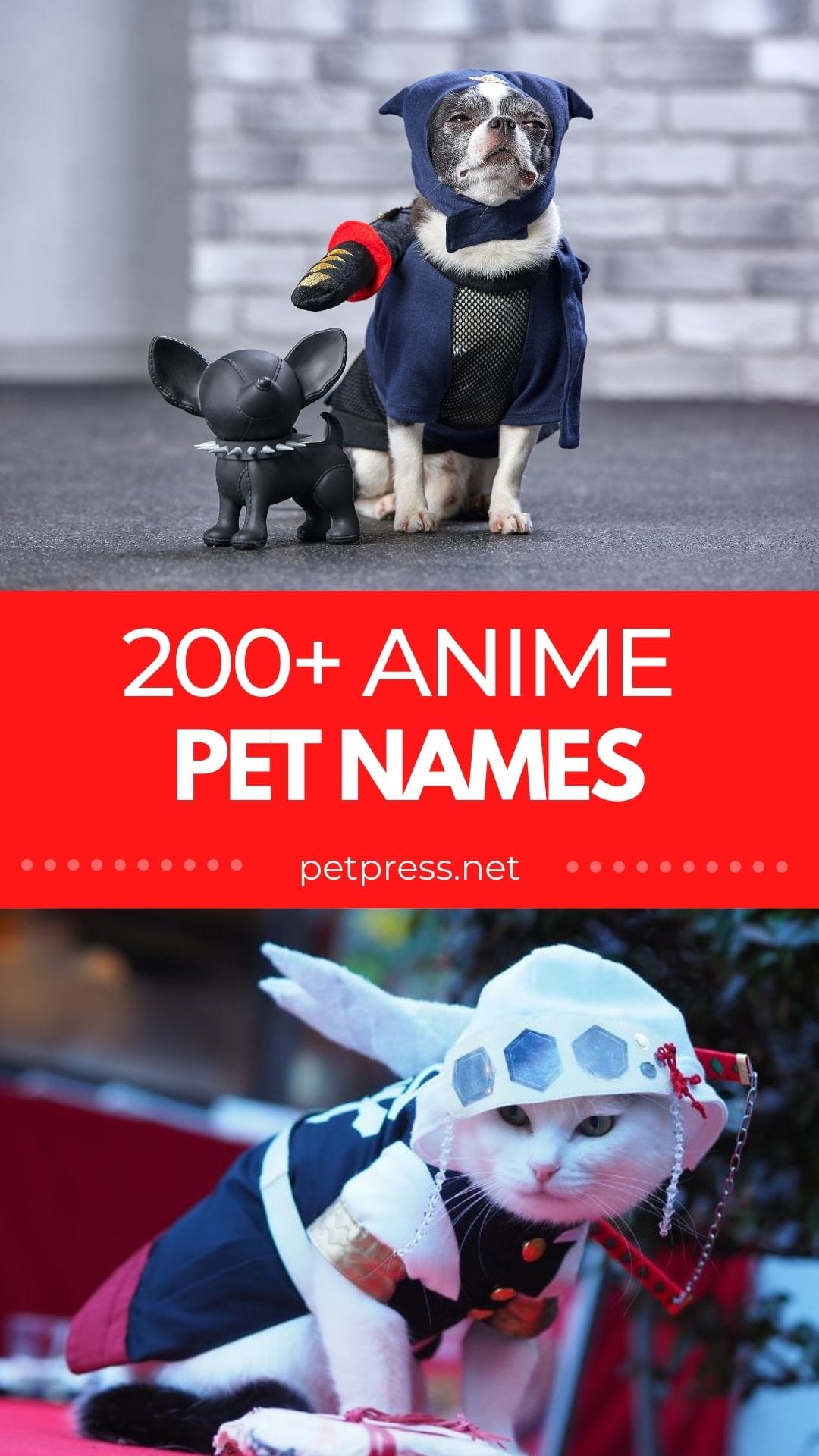 Pet Names In Japanese For Lovers