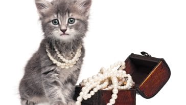female-gemstone-cat-names