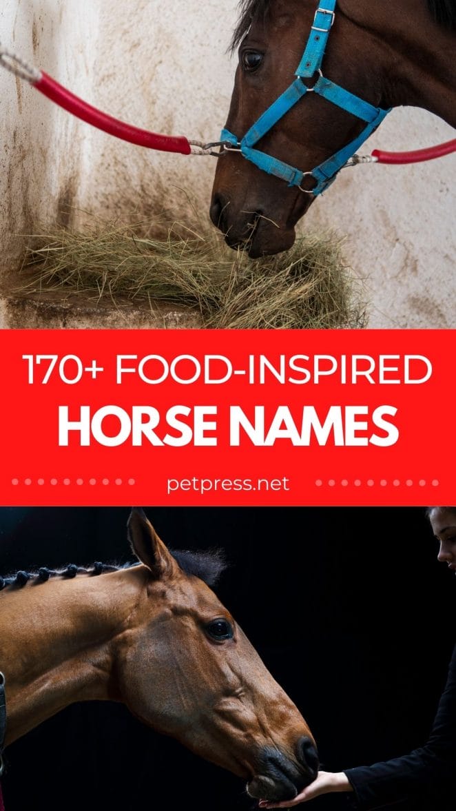 food horse names