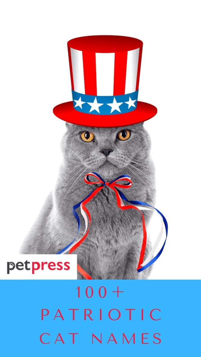 patriotic-cat-names