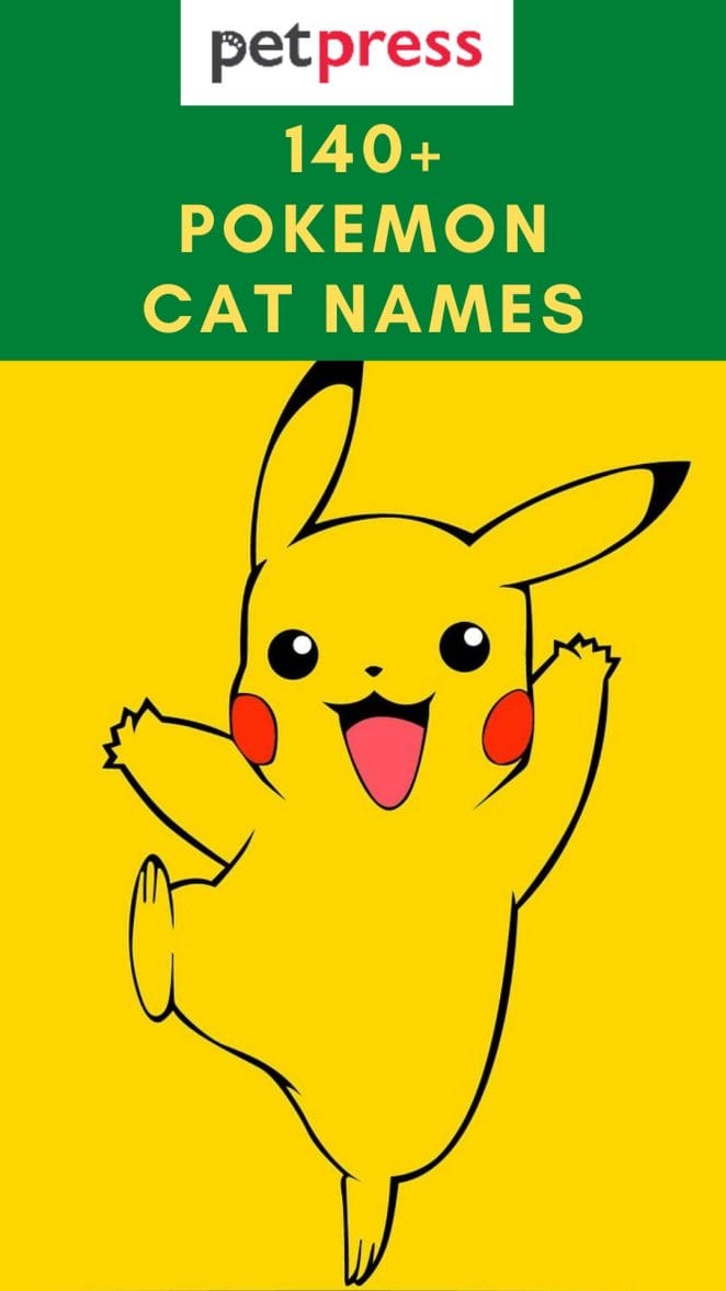 pokemon-cat-names