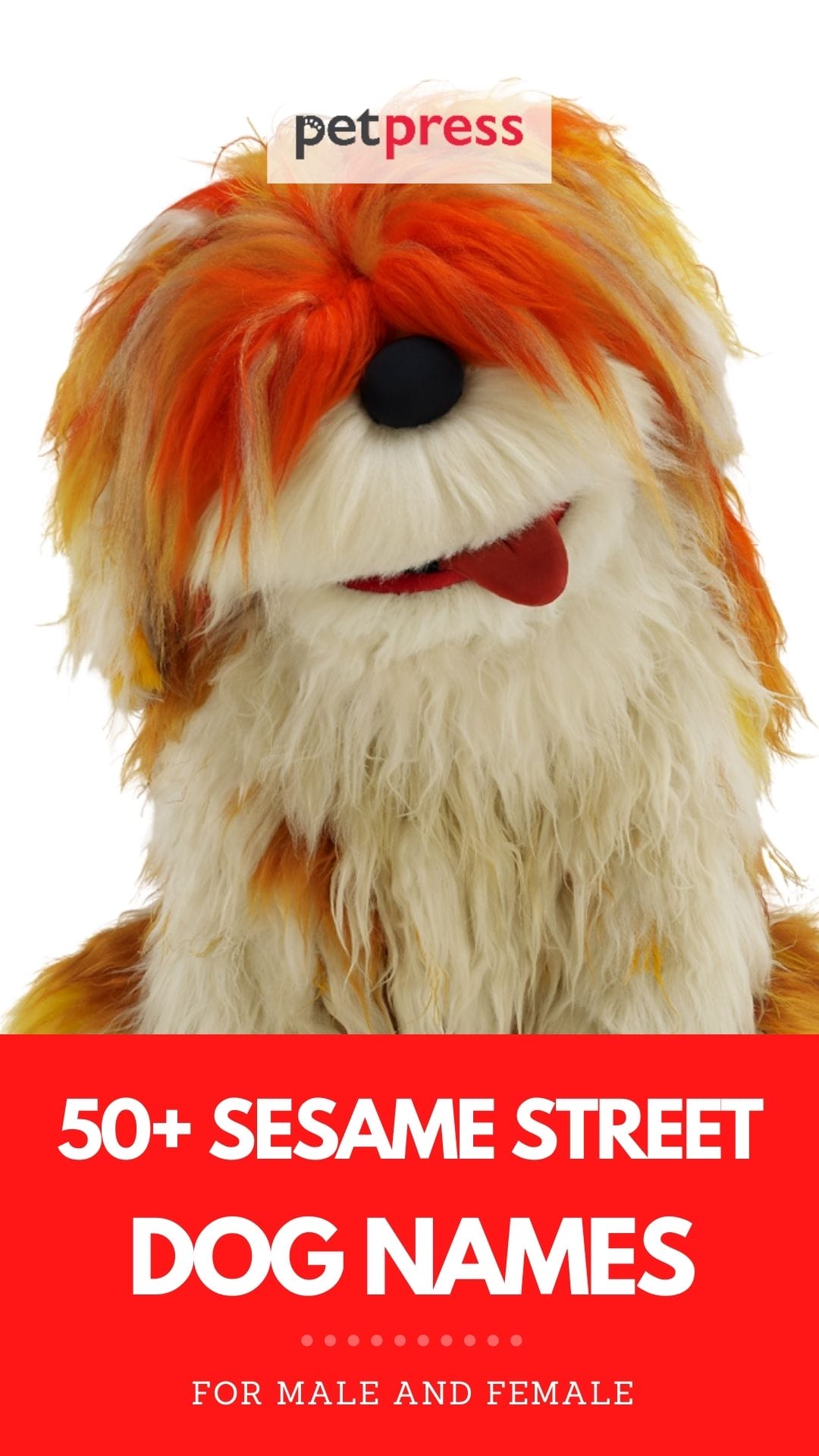 sesame street dog names