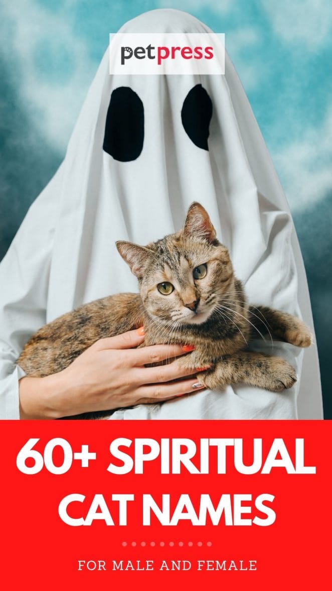 spiritual cat names