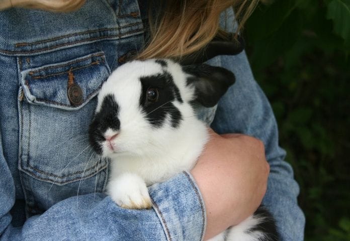 Black & White Rabbit Names