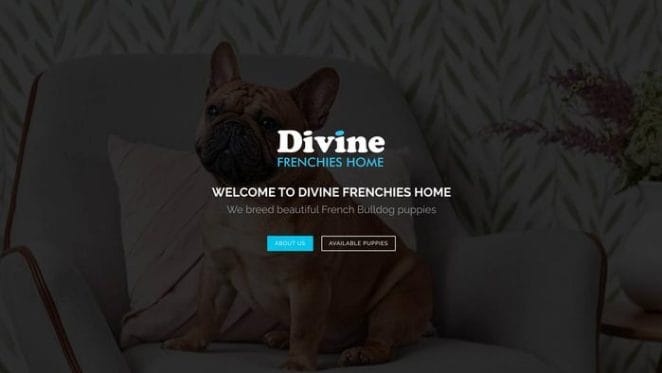 Divinefrenchieshome-com