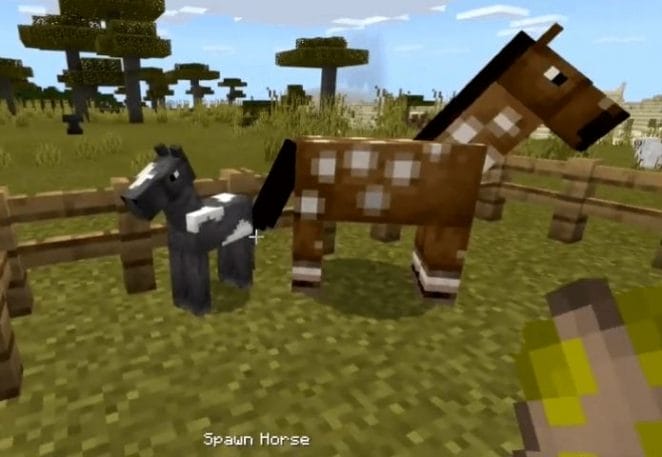 Female Minecraft Horse Names