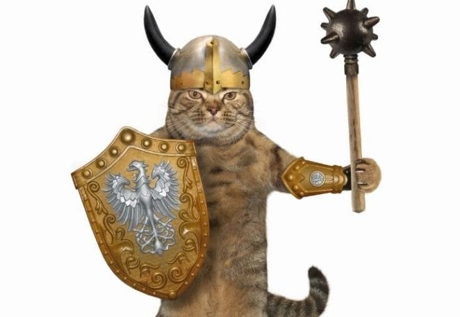 Female Viking Cat Names