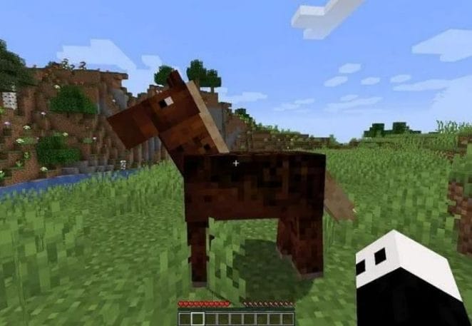 Funny Names For Horses In Minecraft