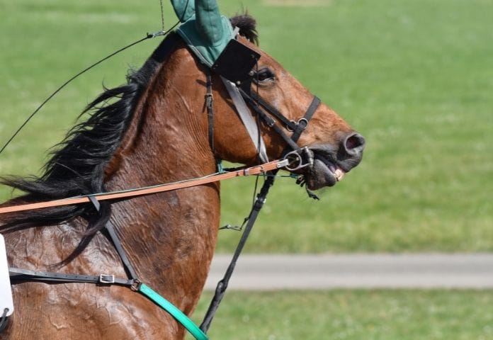 Strong Racehorse Names