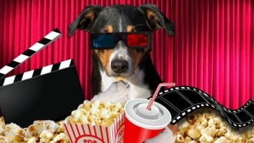 The World’s First Dog-Friendly Cinema in Liverpool