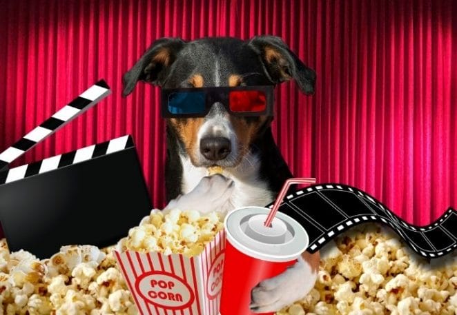 The World’s First Dog-Friendly Cinema in Liverpool