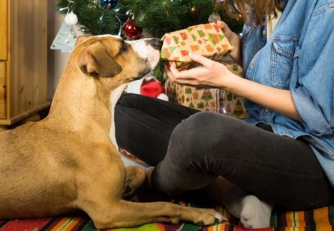 Top 20 Best Gifts for Dog Lovers and Their Dogs