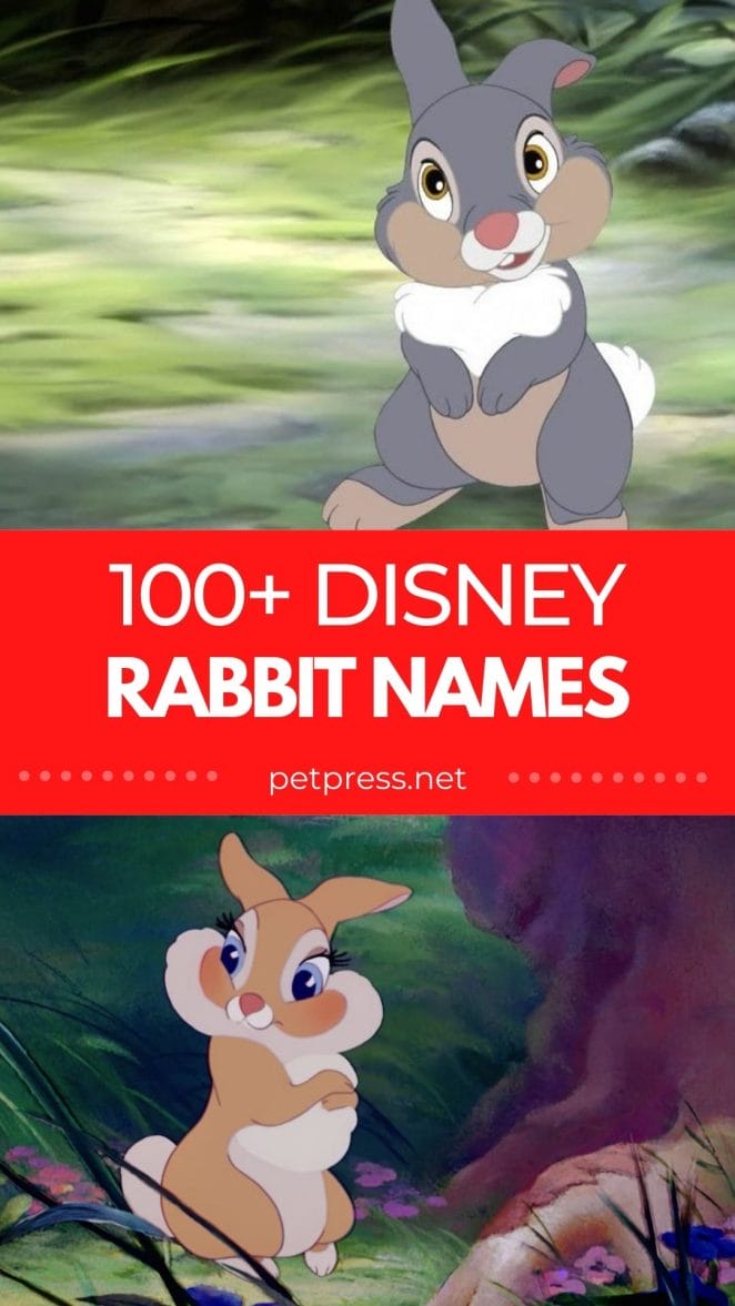disney rabbit names