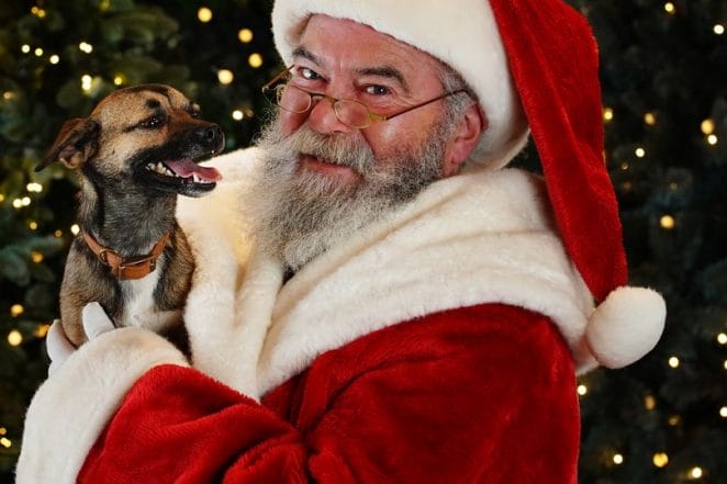 dog-meet-santa