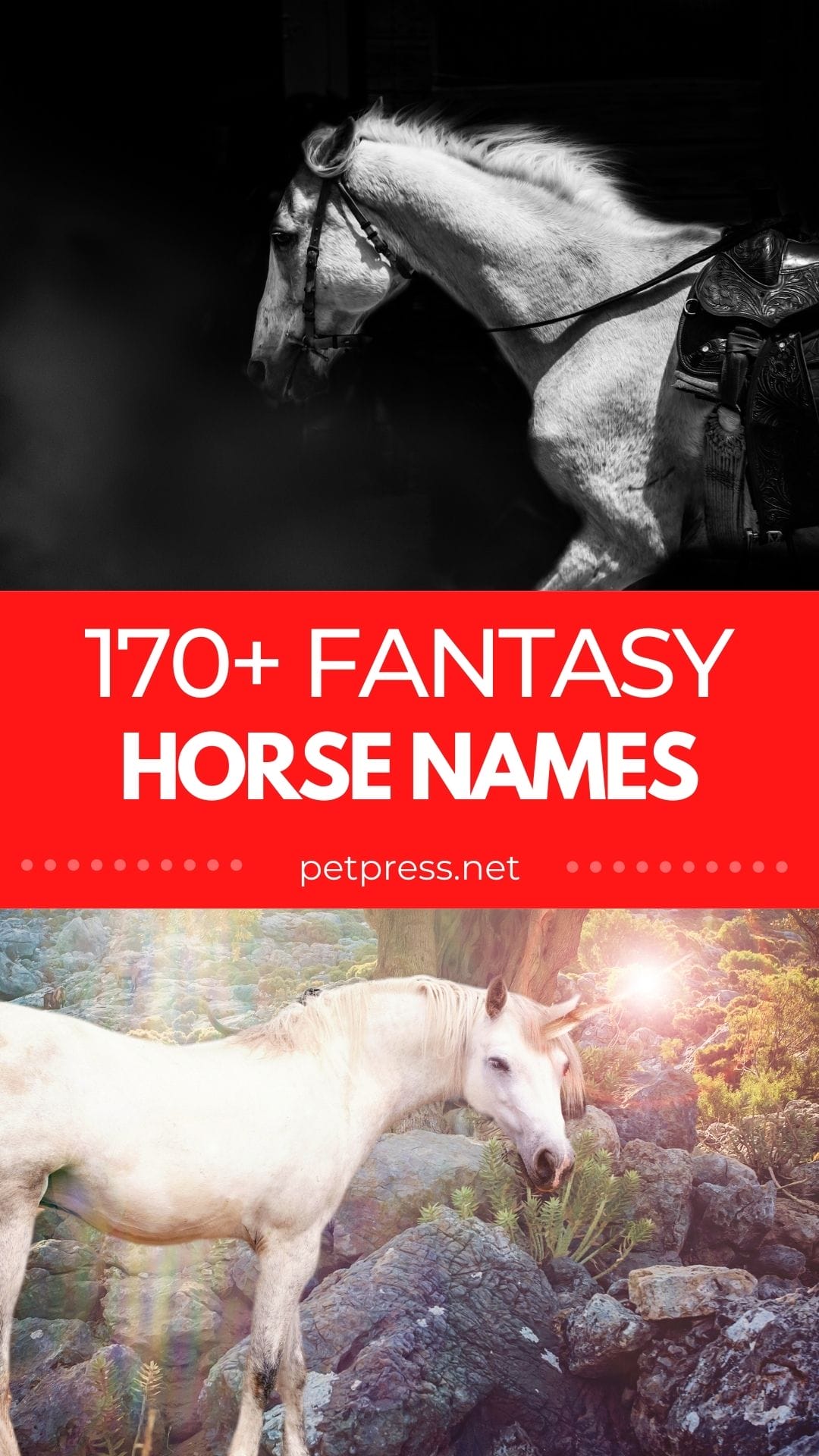 Fantasy Horse Names List of Over 170 Horse Names Inspired by Fantasy