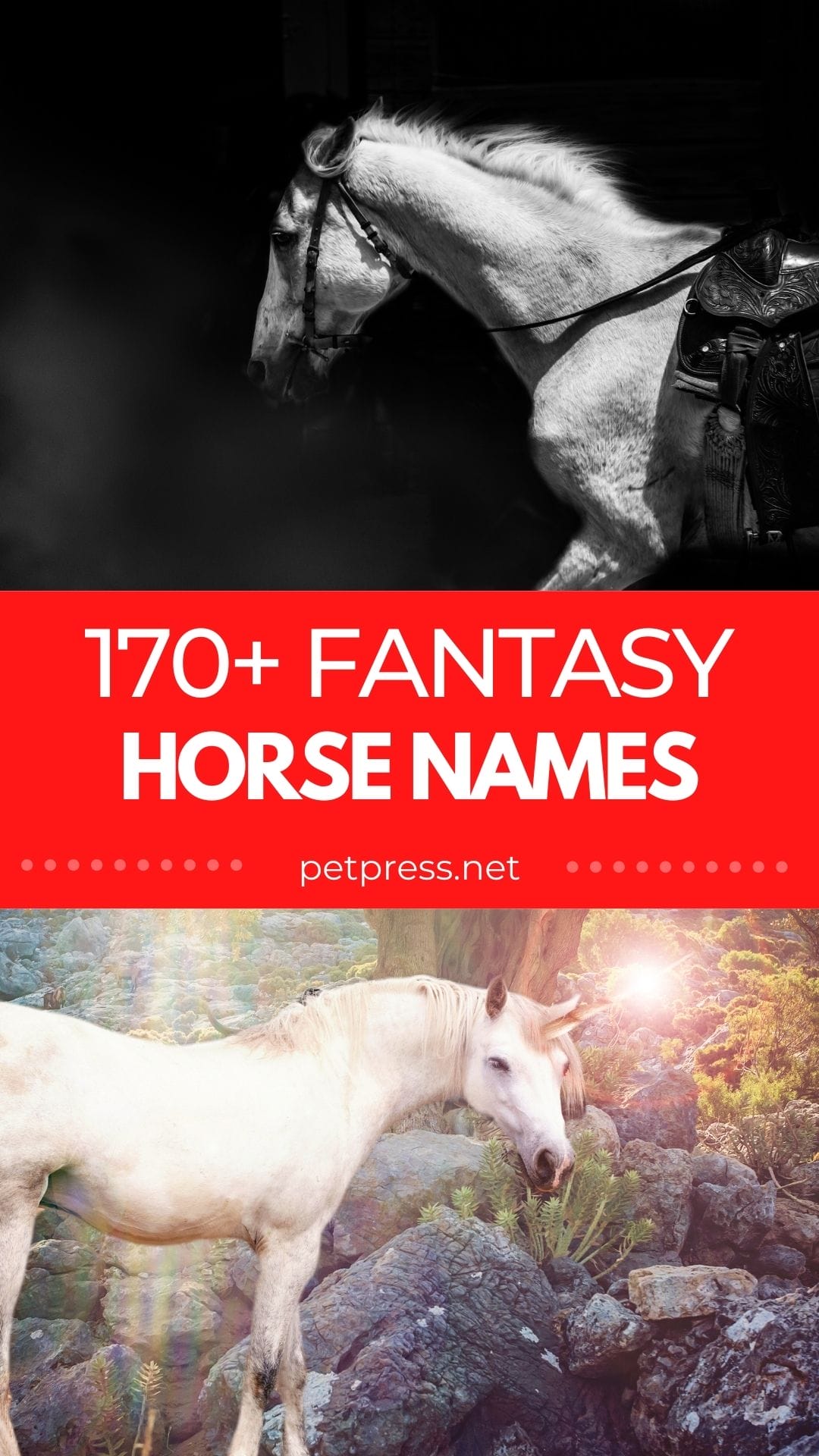 Fantasy Horse Names: List of Over 170 Horse Names Inspired by Fantasy