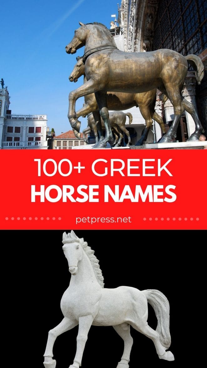 greek horse names