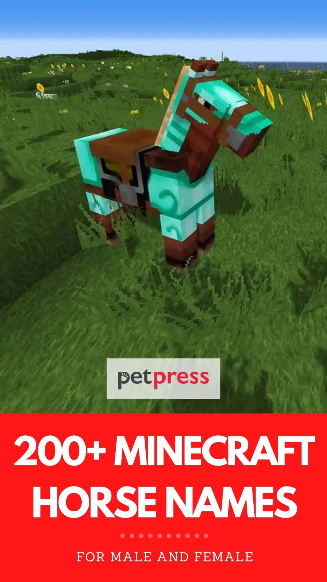 minecraft horse names