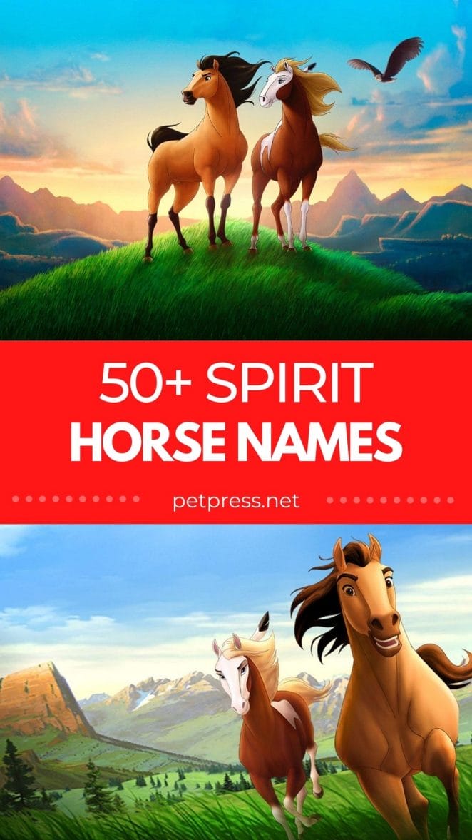 spirit horse names