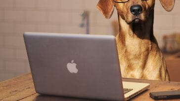 techie-tools-dog