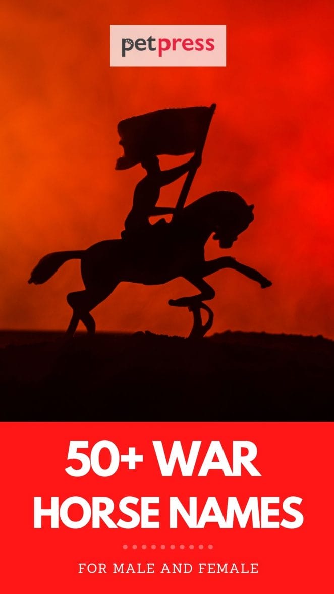 war horse names