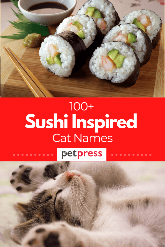 sushi-cat-names