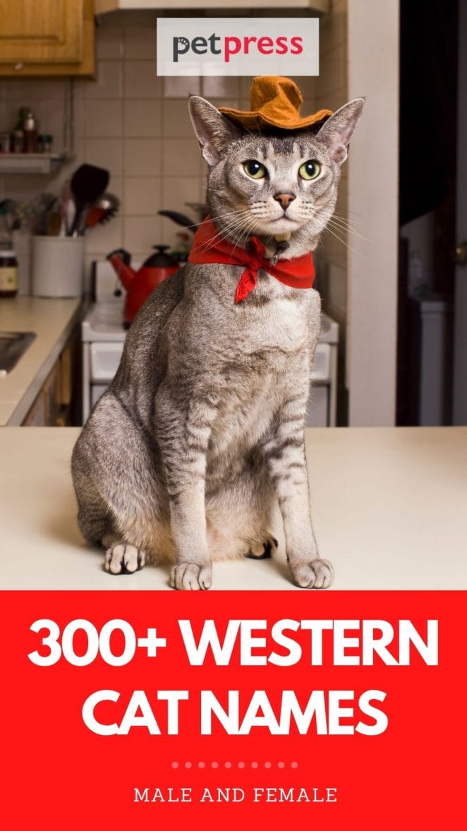 western cat names