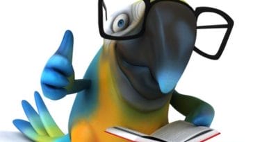 100+ Disney Parrot Names - List of Disney-Inspired Names For Parrots