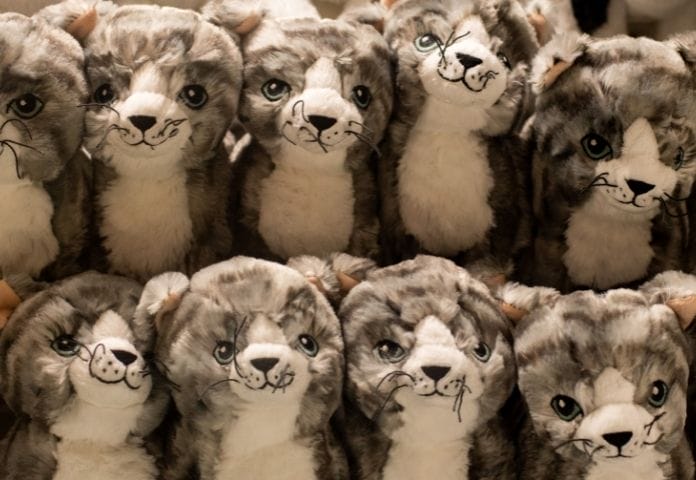 140+ Stuffed Cat Names to Choose From - Names For Stuffed Cat Toys