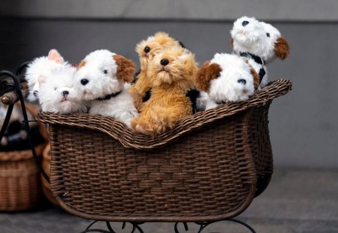 Cute Names For Stuffed Dogs