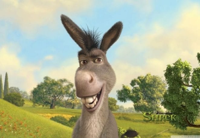 Donkey Names Inspired From Movies