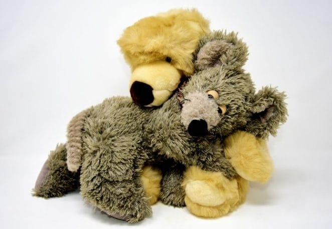 Male Names For Stuffed Animals