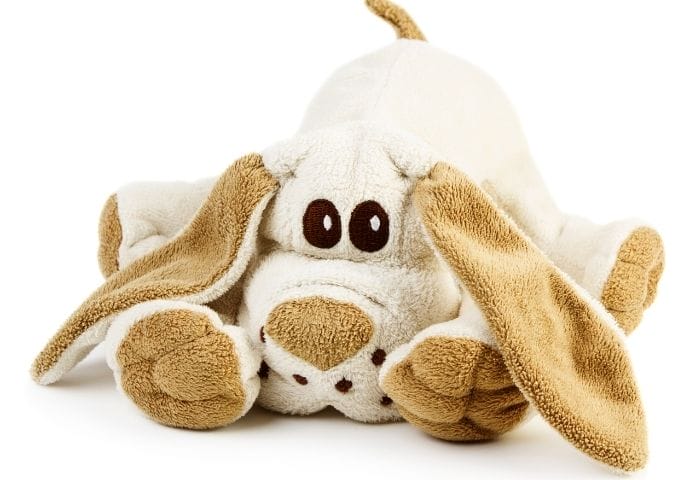 Over 200 Best Stuffed Dog Names to Choose From