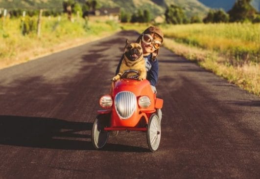 The Best Car Dog Names: 120+ Names For Dogs Inspired by Cars