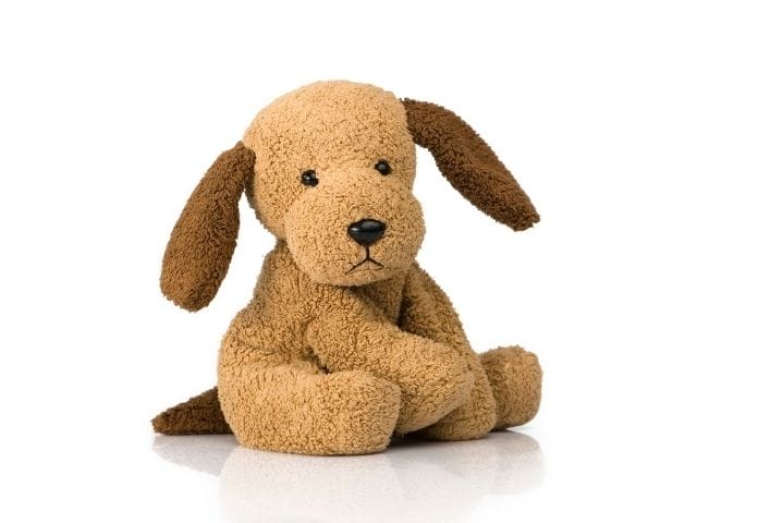 Over 200 Best Stuffed Dog Names to Choose From | PetPress