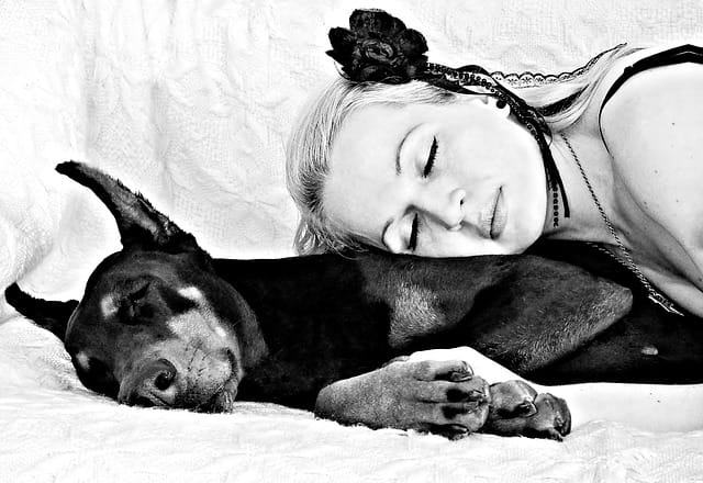 sleep-with-dog