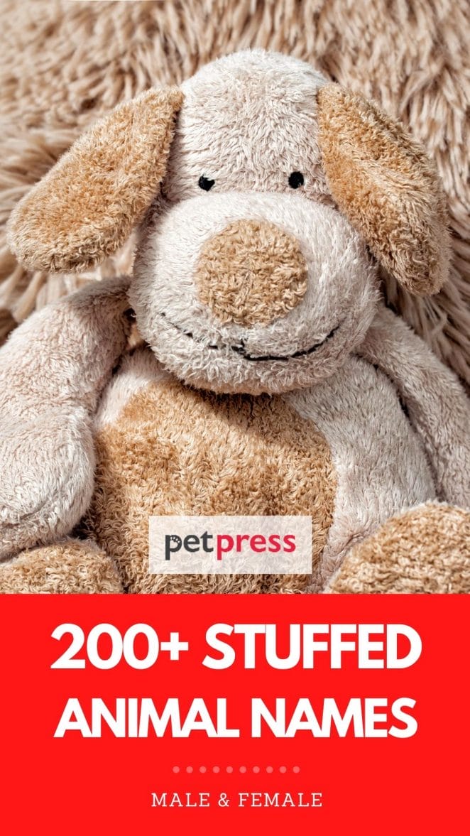 stuffed animal names