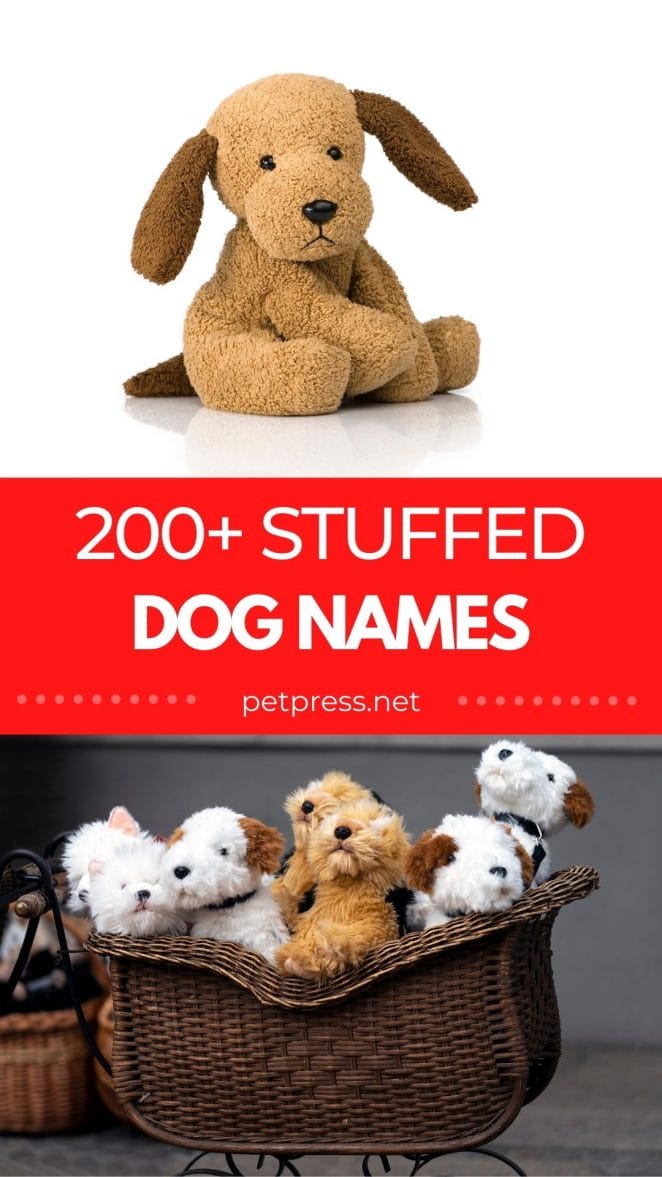 stuffed dog names