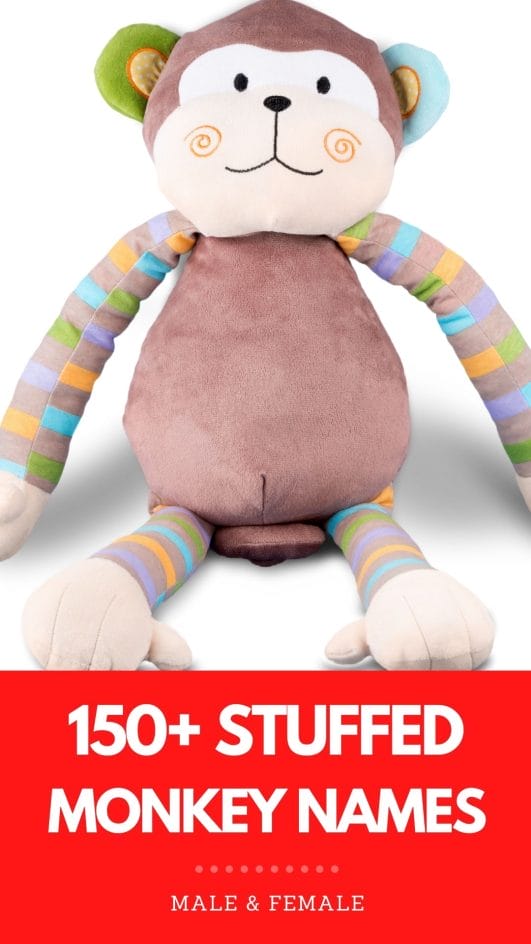 stuffed-monkey-names-150-stuffed-animal-toy-inspired-name-ideas