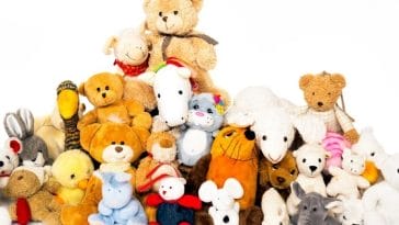 Funny Names for Stuffed Animals - 120+ Hilarious Stuffed Animal Names