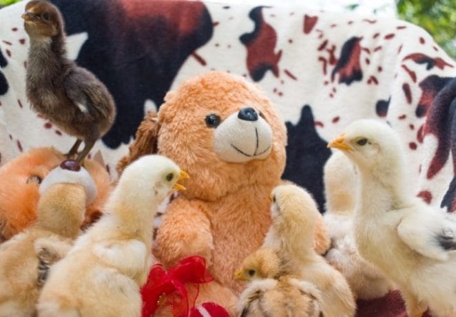 Funny Names for Stuffed Animals: 120+ Hilarious Stuffed Animal Names