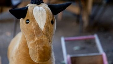 The Best Stuffed Horse Names - 150+ Name Ideas for Your Plush Toy