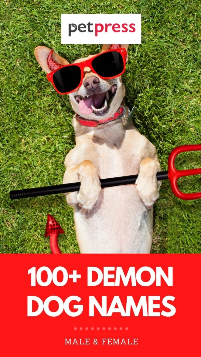 demon dog names