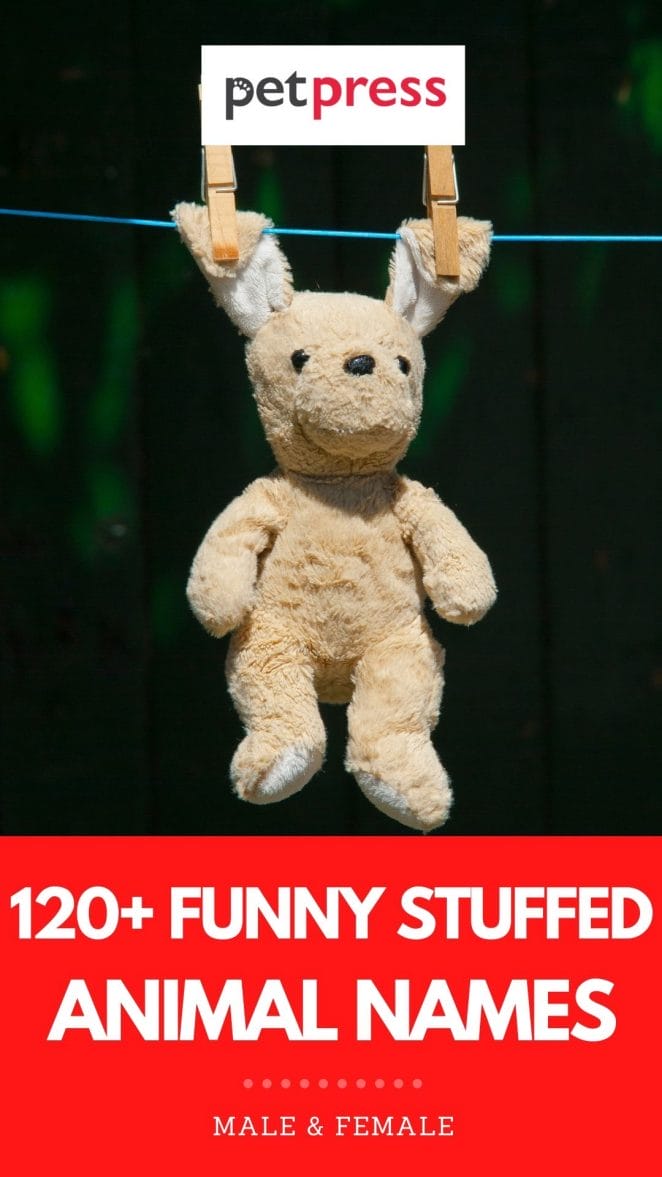 funny stuffed animal names