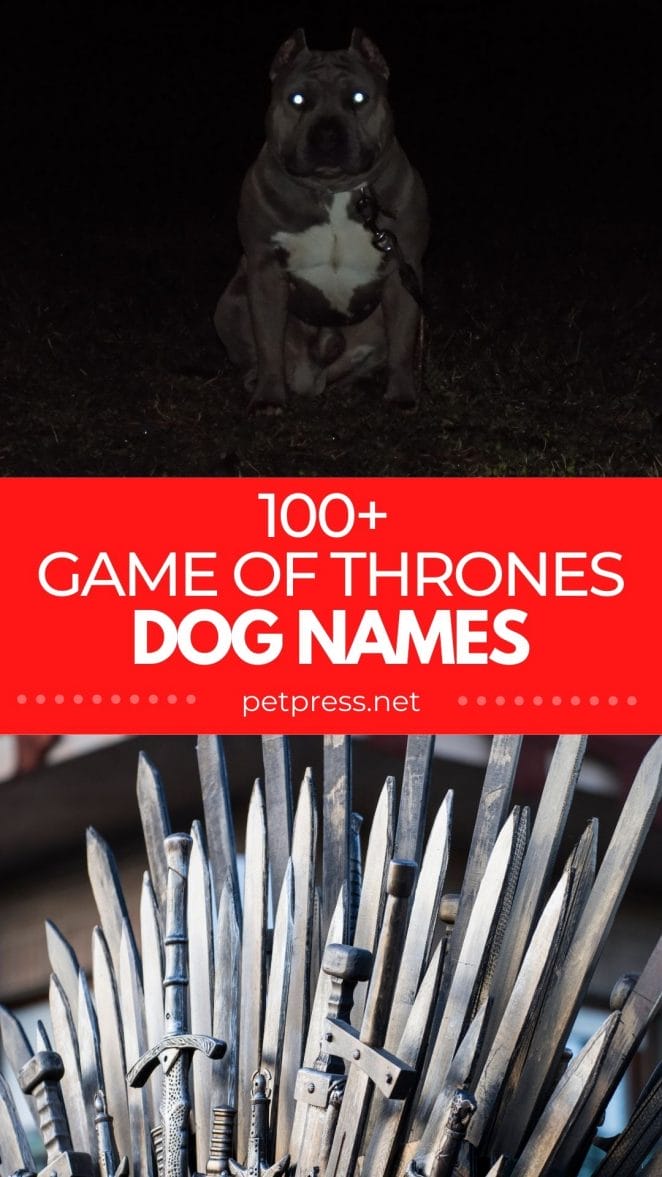 game of thrones dog names