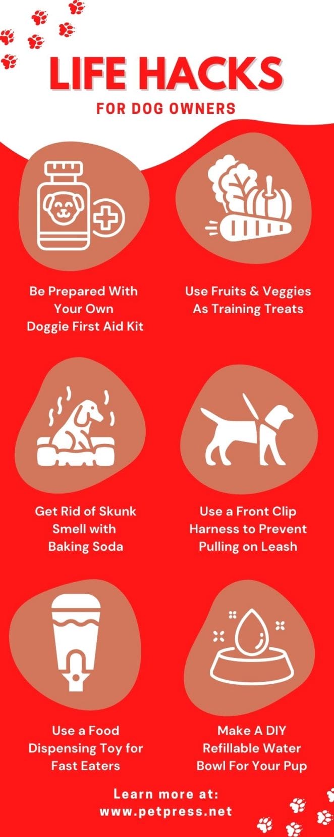 life hacks for dog owners