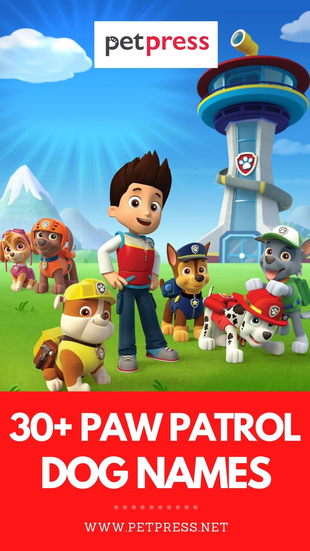 30-paw-patrol-dog-names-puppy-names-inspired-by-the-cartoon