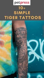 Best 15 Simple Tiger Tattoos To Inspire You Ink Your Skin